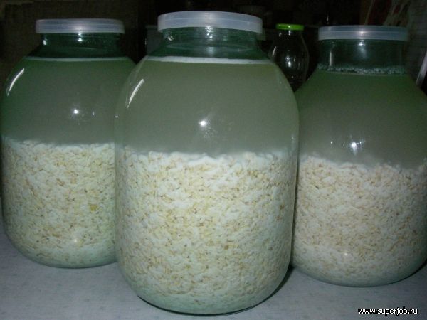 Компот из замороженной клюквы. Компот из замороженной клюквы.