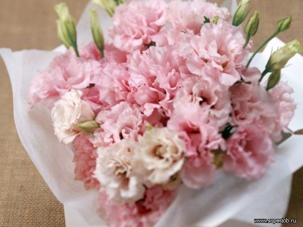 http://public.superjob.ru/images/groups_topics_attaches.ru/40/24514.jpg