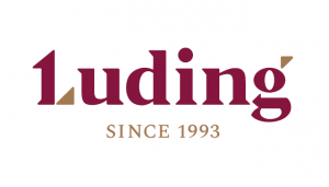 Логотип компании ЛУДИНГ