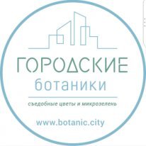 Городские цветы