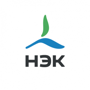 Новая энергетическая компания