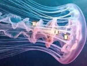 Глубоководные исследования