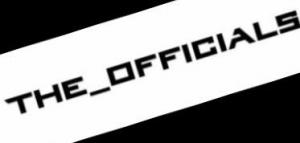 THE_OFFICIALS (ИП Булачев Сергей Сергеевич)