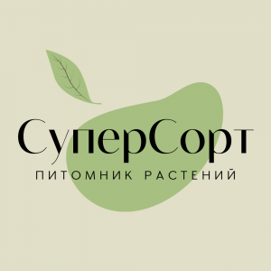 СуперСорт (ИП Кюнгас Артур)