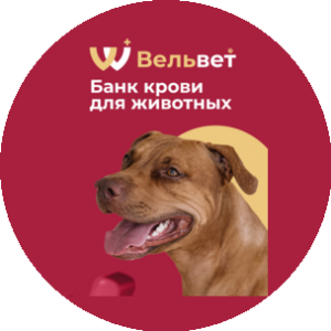 ВЕЛЬВЕТ ветеринарный банк крови
