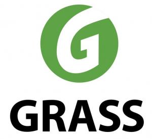Grass