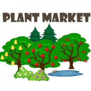 Плантмаркет