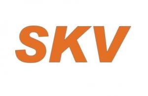 SKV Lighting