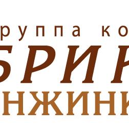 Логотип компании БРИККС ИНЖИНИРИНГ