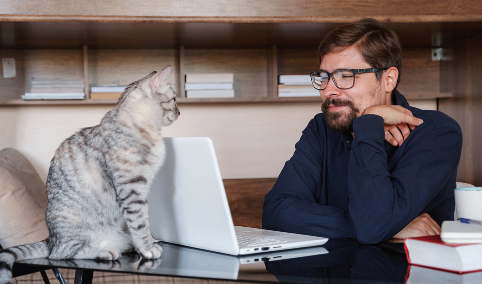 Приказ по нерабочим дням и другие документы для выполнения требований указа Президента